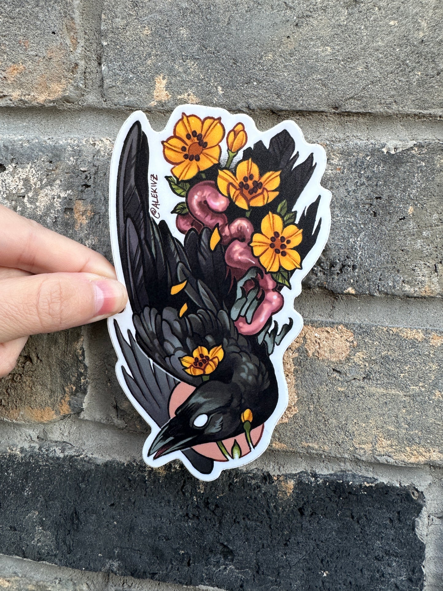 Bird Guts Sticker by Kingsley Van Zandt