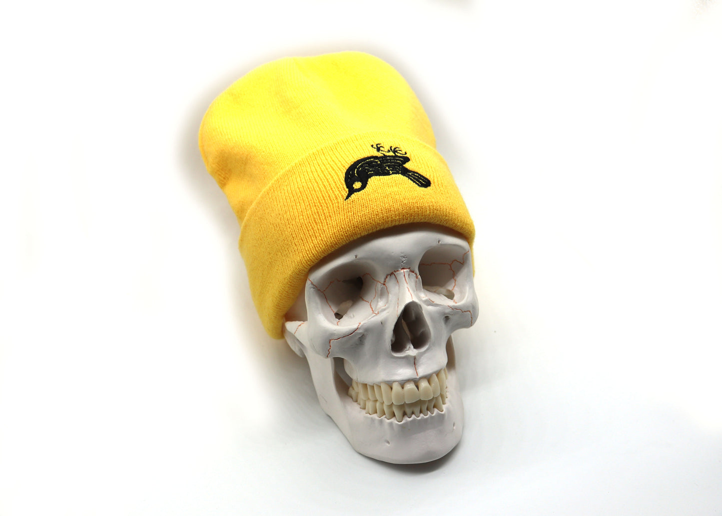 Dead Crow Beanie by Kingsley Van Zandt