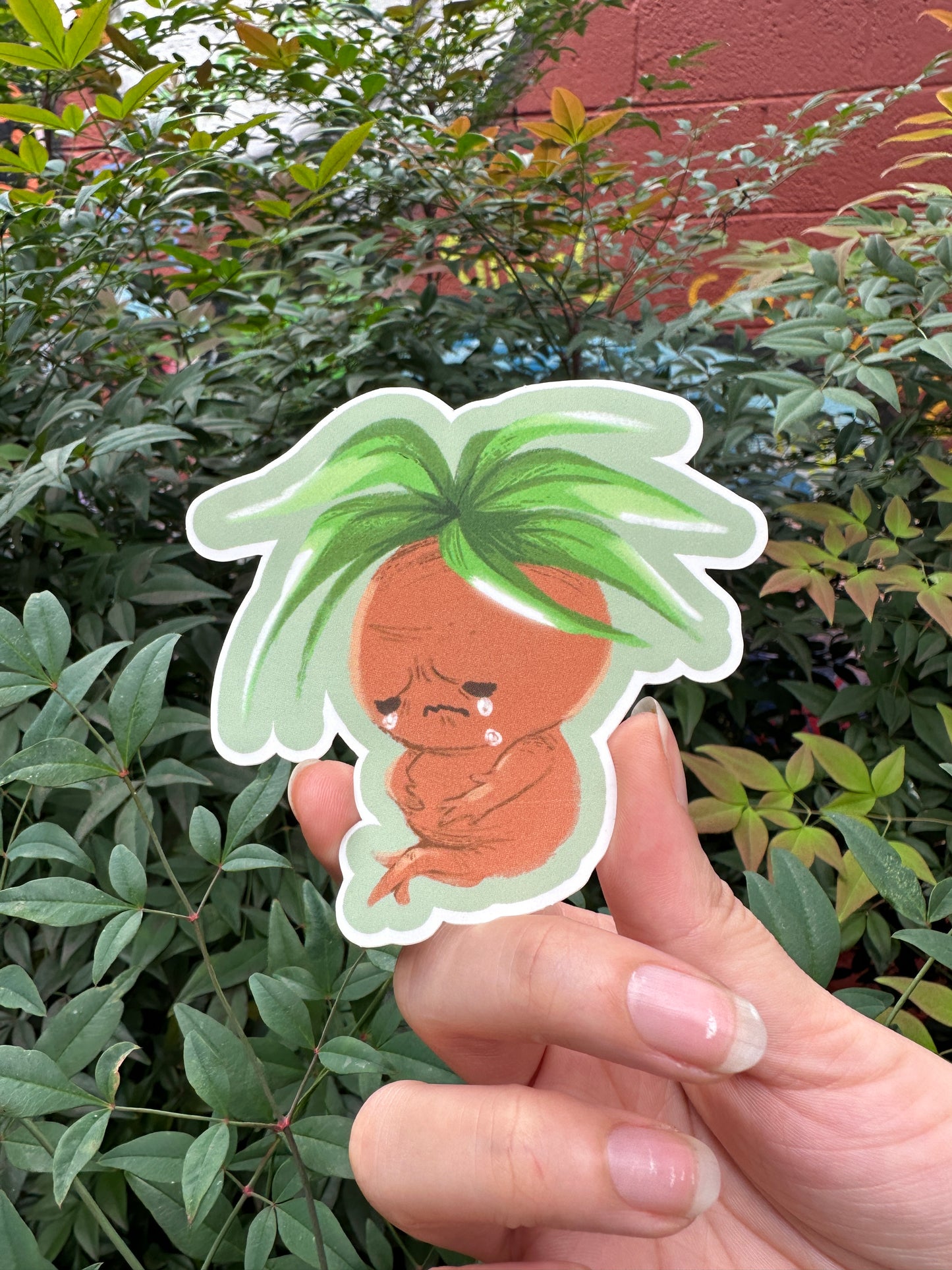 Crybaby Mandrake Sticker Set by Dylan Burke