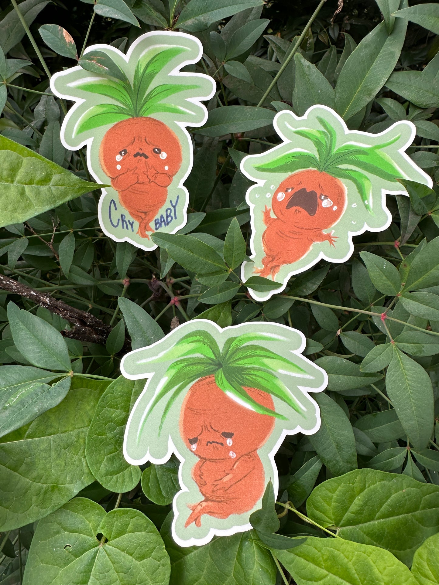 Crybaby Mandrake Sticker Set by Dylan Burke