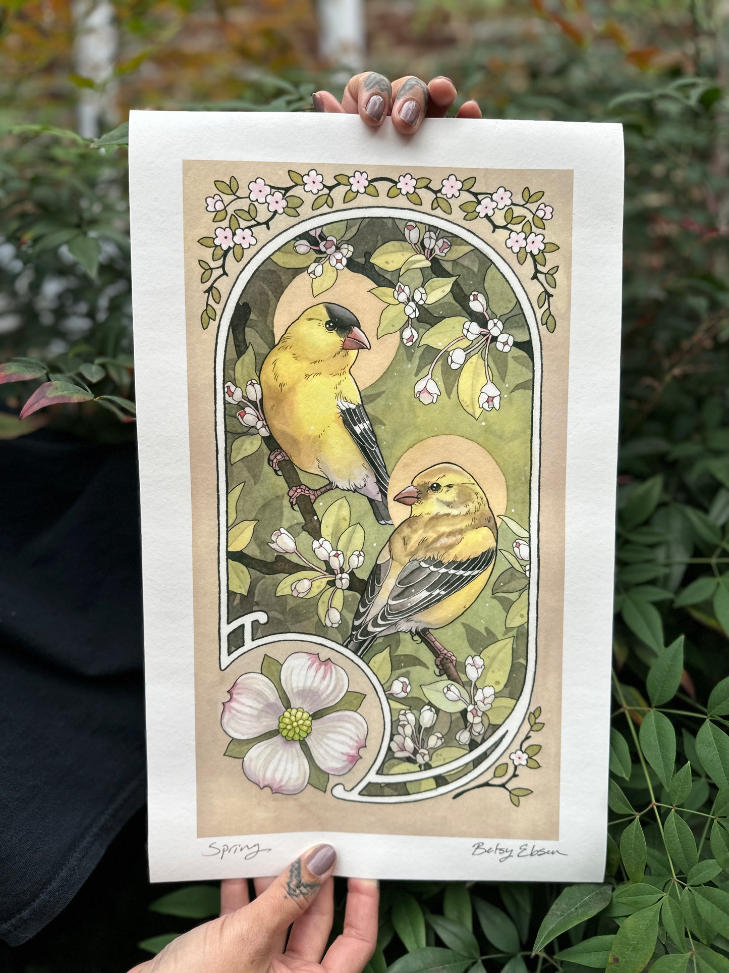 Seasonal Birds Print Set by Betsy Ebsen