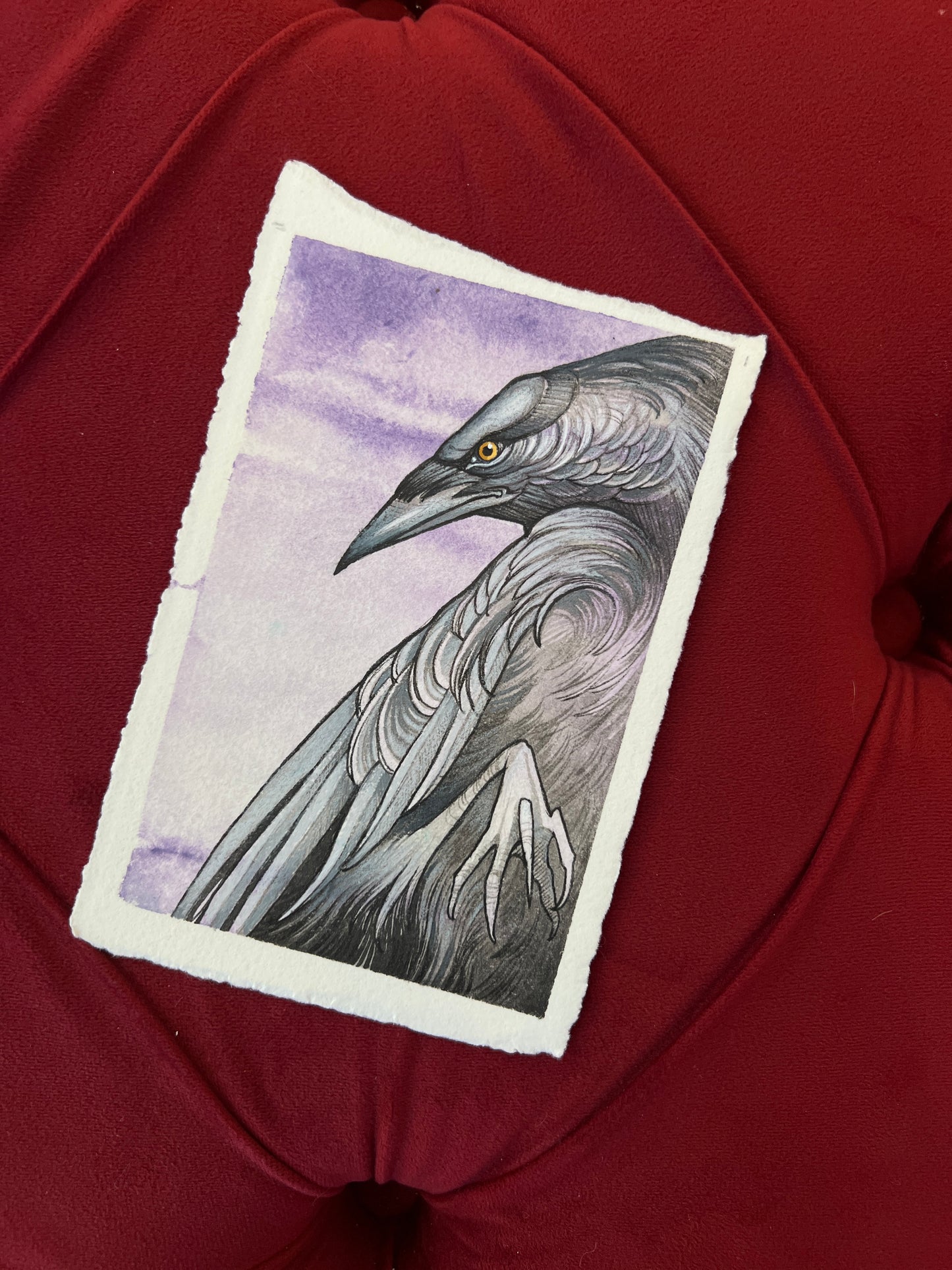 Assorted Small Crow Originals: Set 1 by Teresa Sharpe