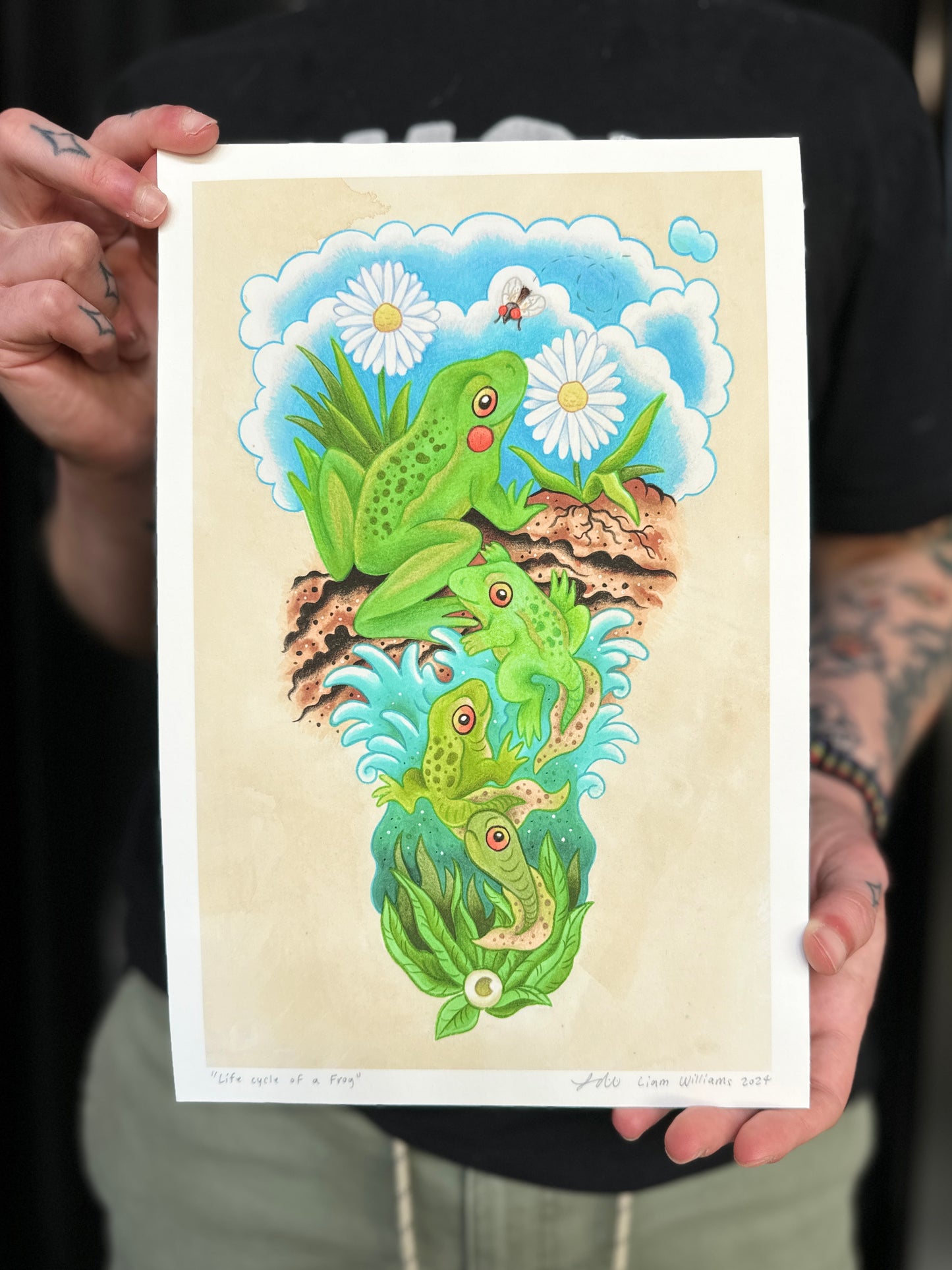 "Lifecycle of a Frog" Print by Liam Williams