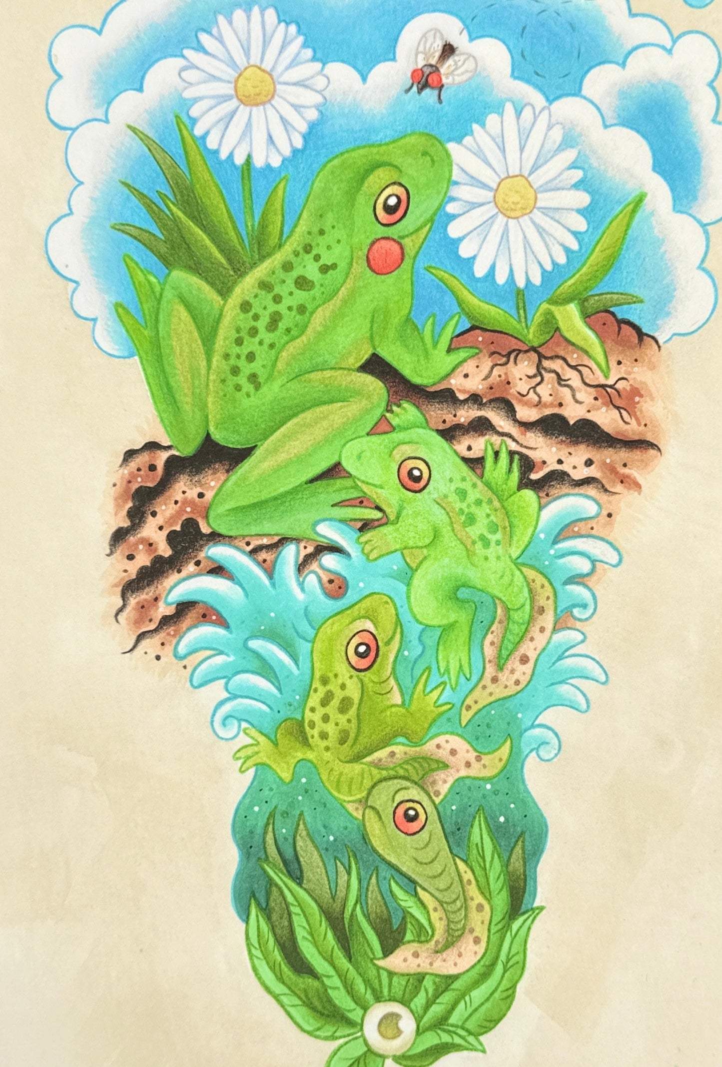 "Lifecycle of a Frog" Print by Liam Williams