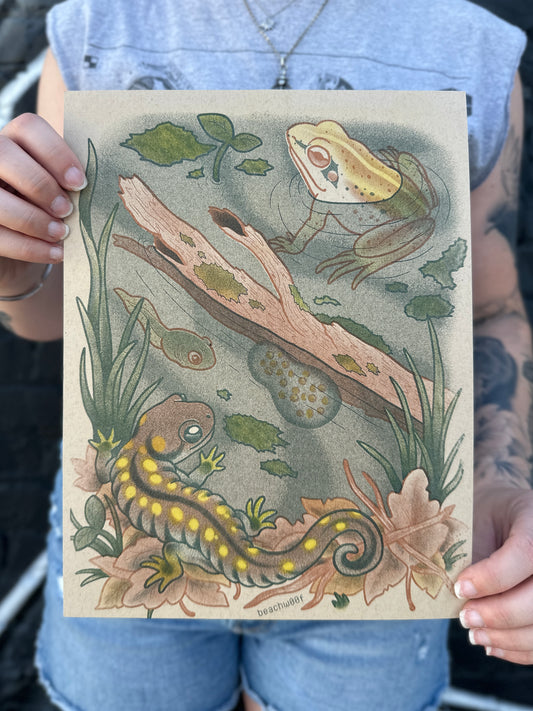 "Vernal Pool" Risograph Print by Liam Williams