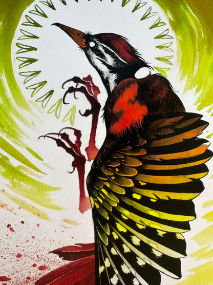 "Pileated" Print by Faith Broache (- v i t r i o l -)