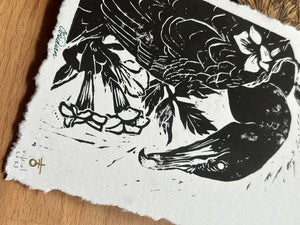 Cormorant Linocut Prints by Faith Broache ( - v i t r i o l - )